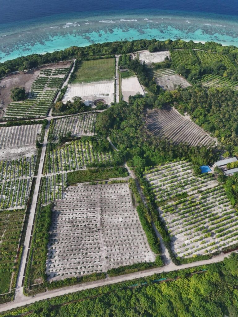 WhatsApp Image 2025-04-04 at 15.02.04 (3)