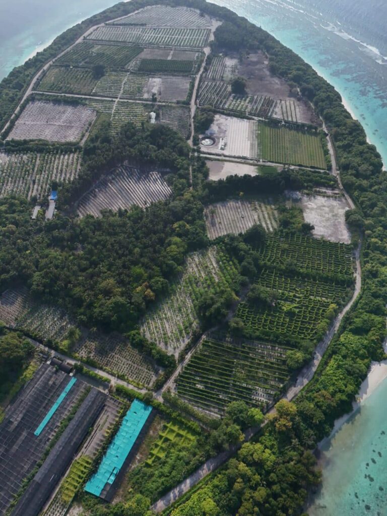 WhatsApp Image 2025-04-04 at 15.02.04 (4)