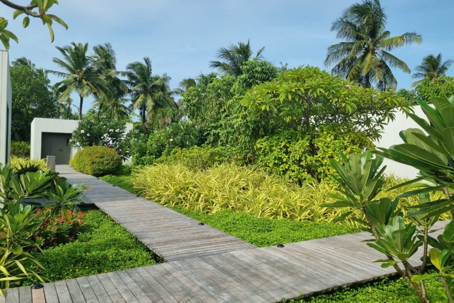 WhatsApp Image 2024-11-07 at 20.25.56