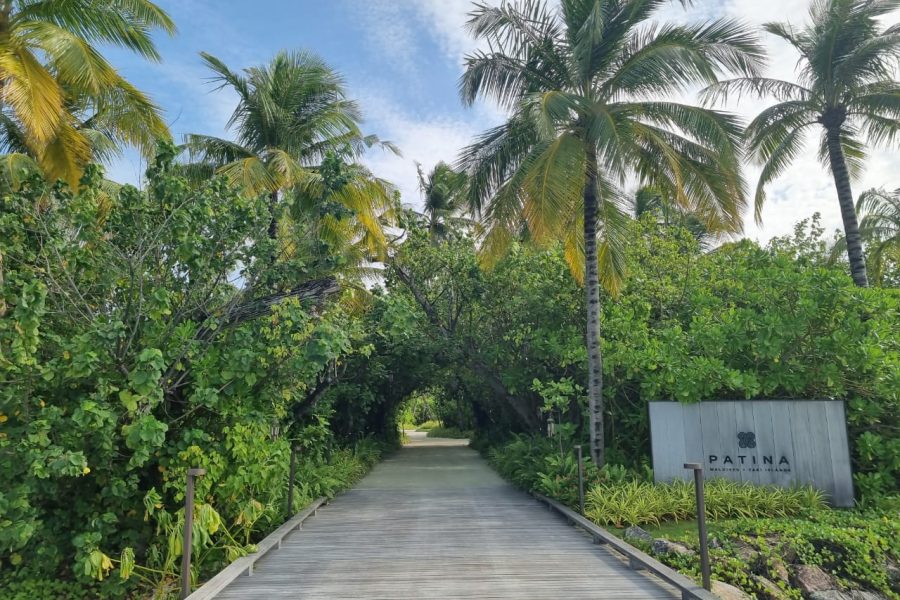 WhatsApp Image 2024-11-07 at 20.26.01 (1)