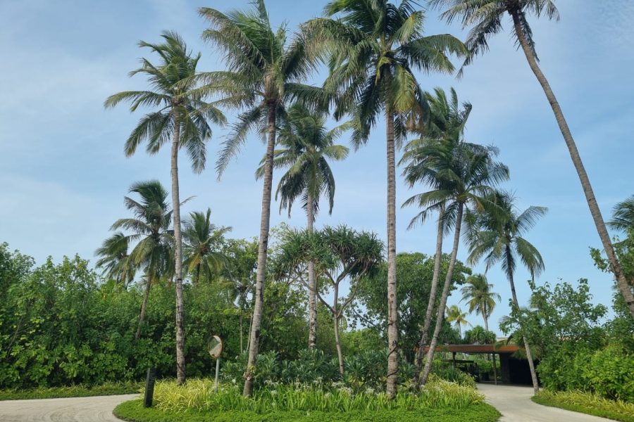 WhatsApp Image 2024-11-07 at 20.26.02