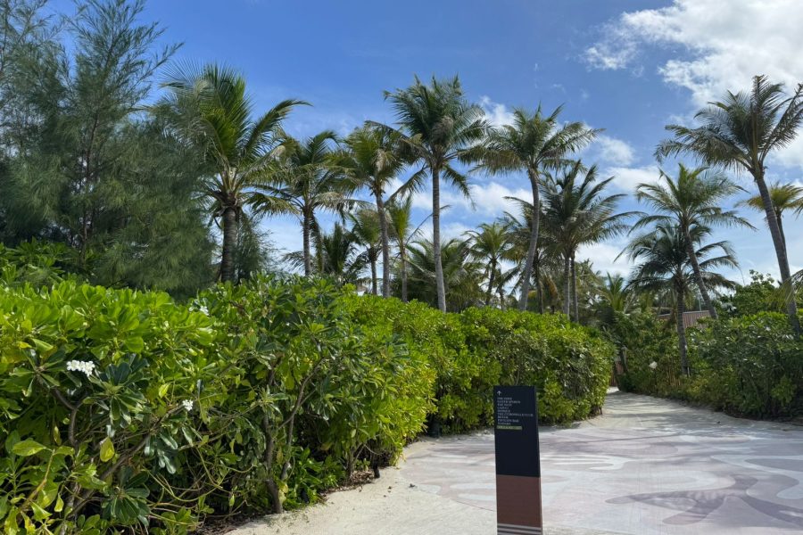 WhatsApp Image 2025-07-03 at 15.42.25