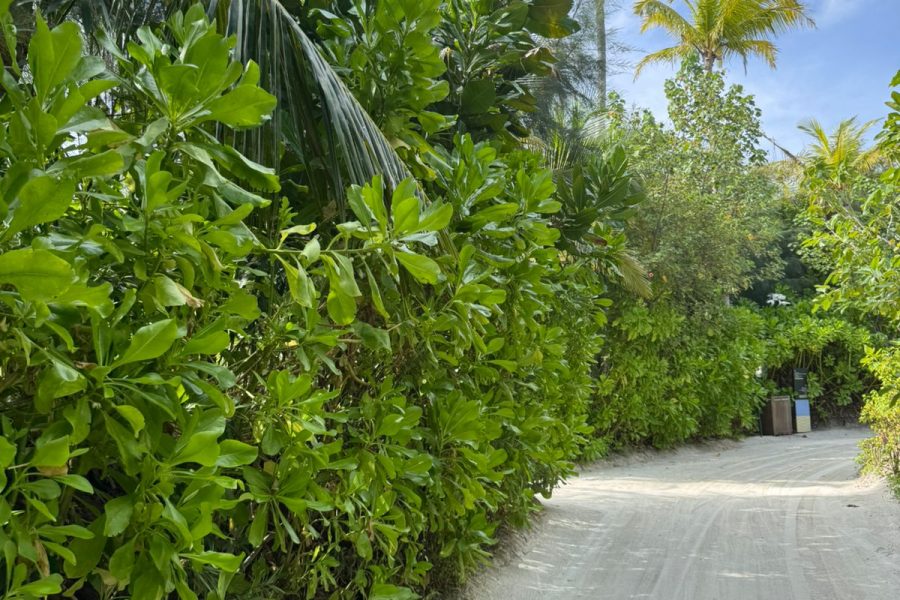 WhatsApp Image 2025-07-03 at 15.42.26